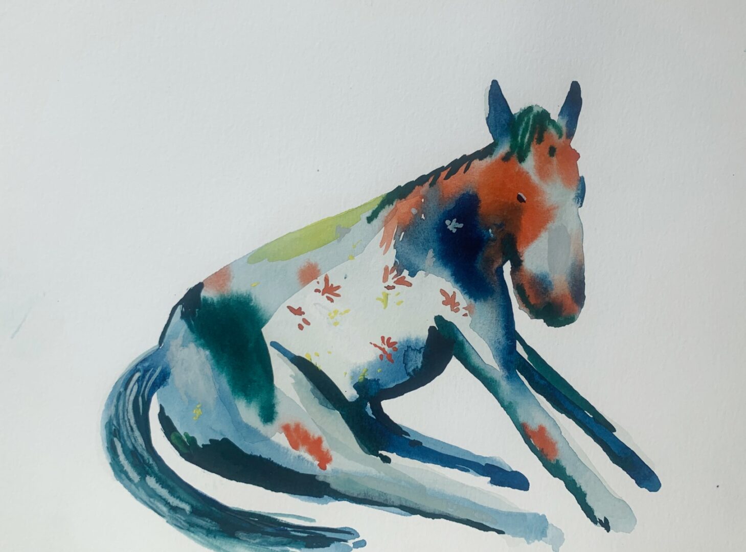 Hanna Ilczyszyn Galeria Sztuki Katarzyny Napiorkowskiej (22)