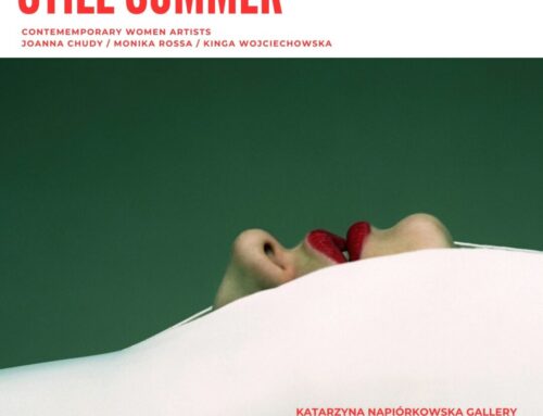 Still Summer: Exhibition